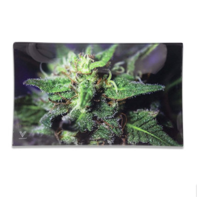 Picture of SYNDICATE GLASS TRAY MEDIUM - BLUE DREAM